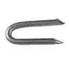 B STAPLE